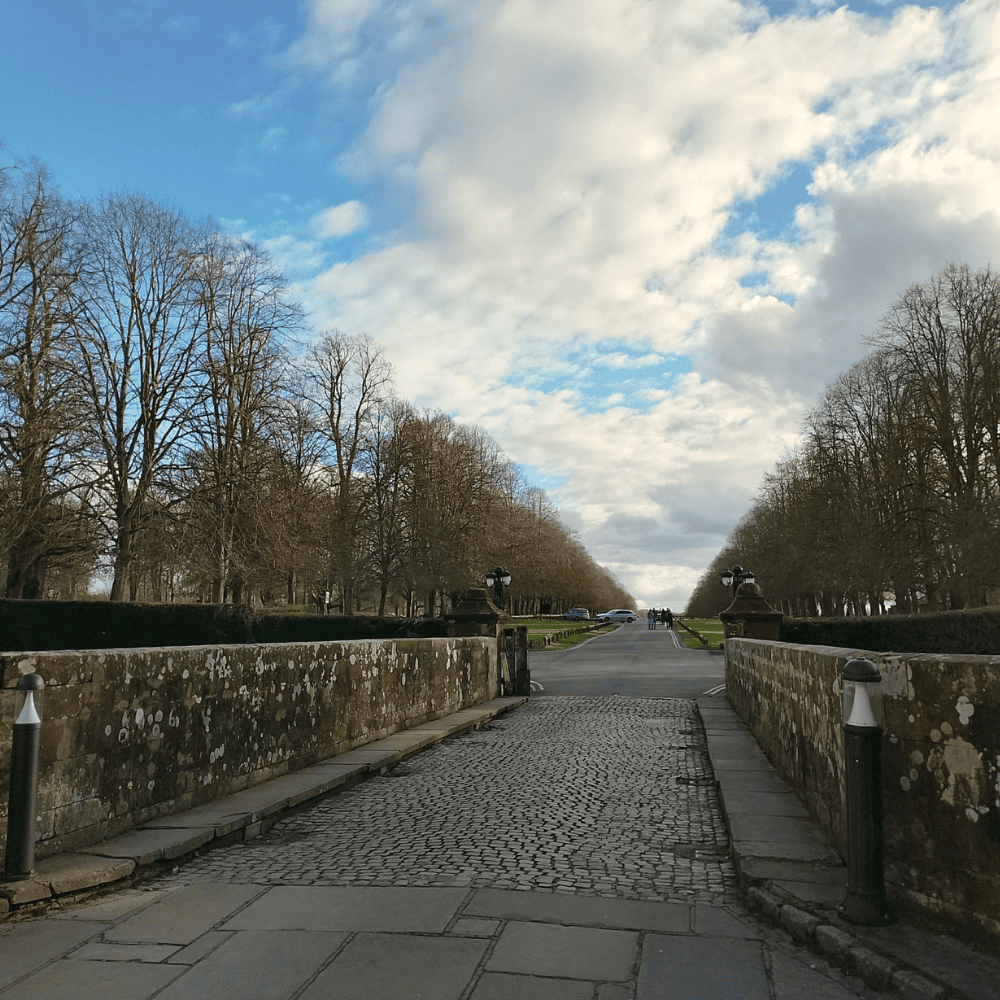 Gallery Image: 2026 Midlands Lunch - Coombe Abbey